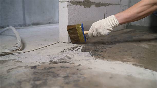 SJ Waterproofing Pros Waterproofing coverage map for Plainwell, MI and surrounding area